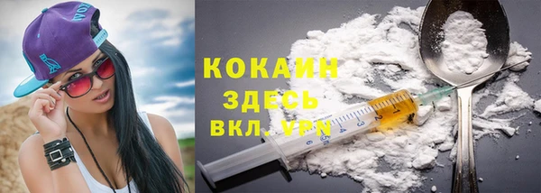 соль ск Абаза