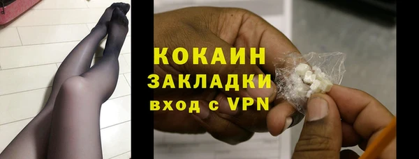 соль ск Абаза