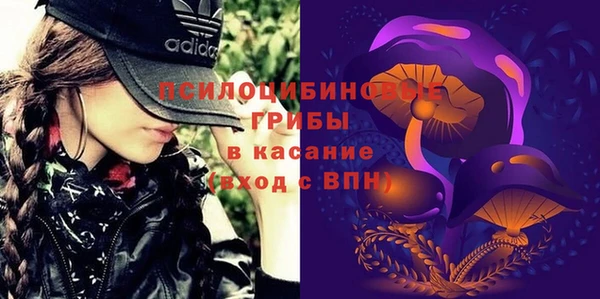 соль ск Абаза