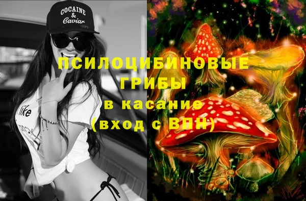 соль ск Абаза