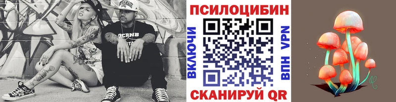 OMG   Чулым  Псилоцибиновые грибы Psilocybe  купить наркотики цена 